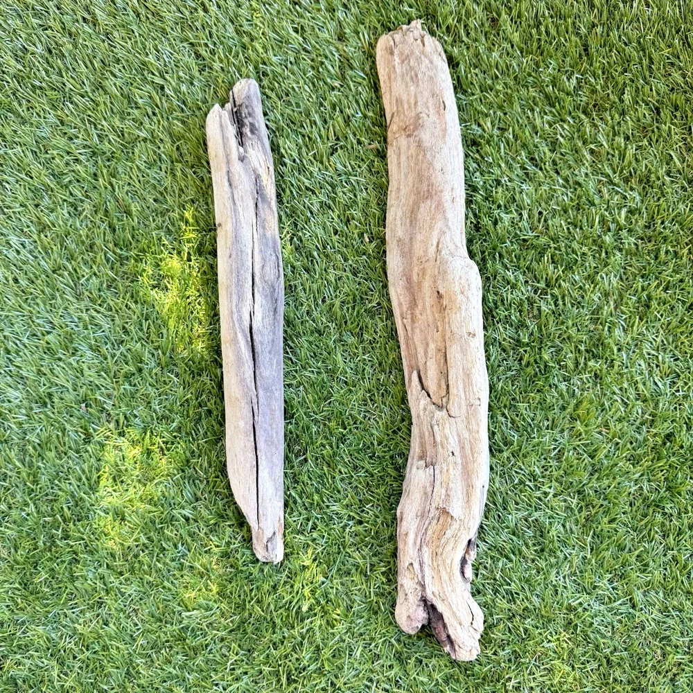 2 Natural Driftwood Pieces California Coast Rustic Beach Decor Aquarium Art